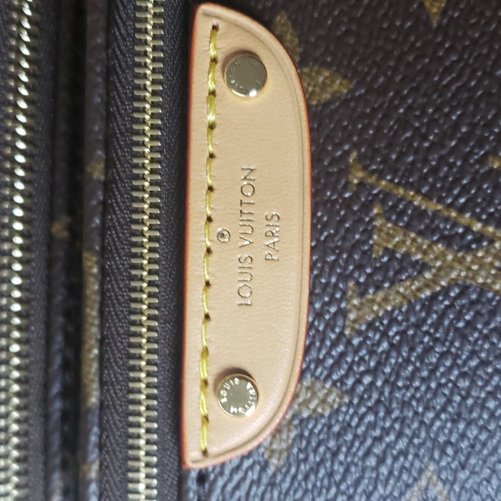Louis Vuitton Mini Bumbag - Picture 4 of 13
